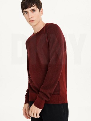 Πουλόβερ DKNY Birdseye Raglan Sleeve ανδρικα σκούρο κοκκινα | Greece_D0684