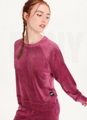 Φούτερ DKNY Platinum Velour Pullover γυναικεια μωβ | Greece_D1824