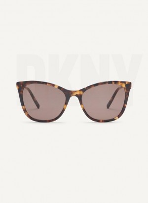 Γυαλια Ηλιου DKNY City Native Cat Eye γυναικεια καφε | Greece_D0424