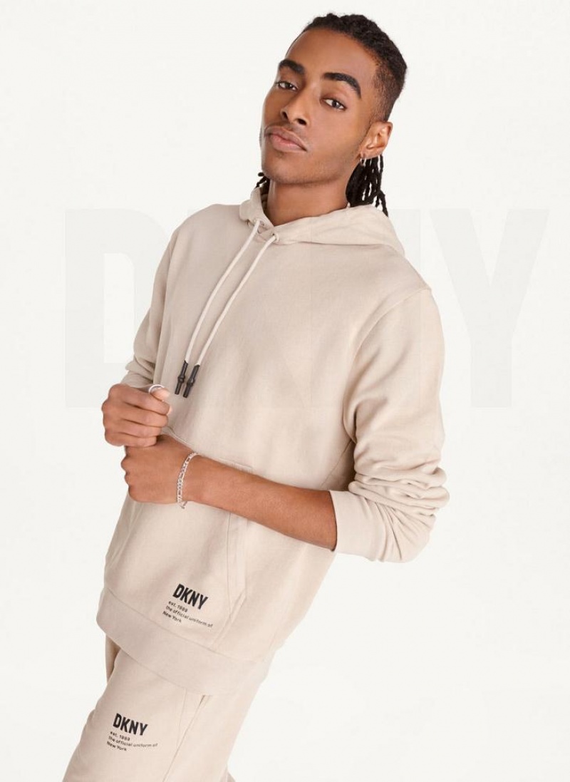 Hoodies DKNY French Terry ανδρικα Χακί | Greece_D0396